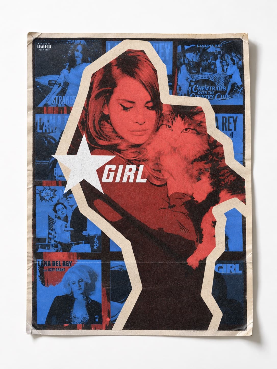 Lana Del Rey “Stargirl” Poster (1/2)